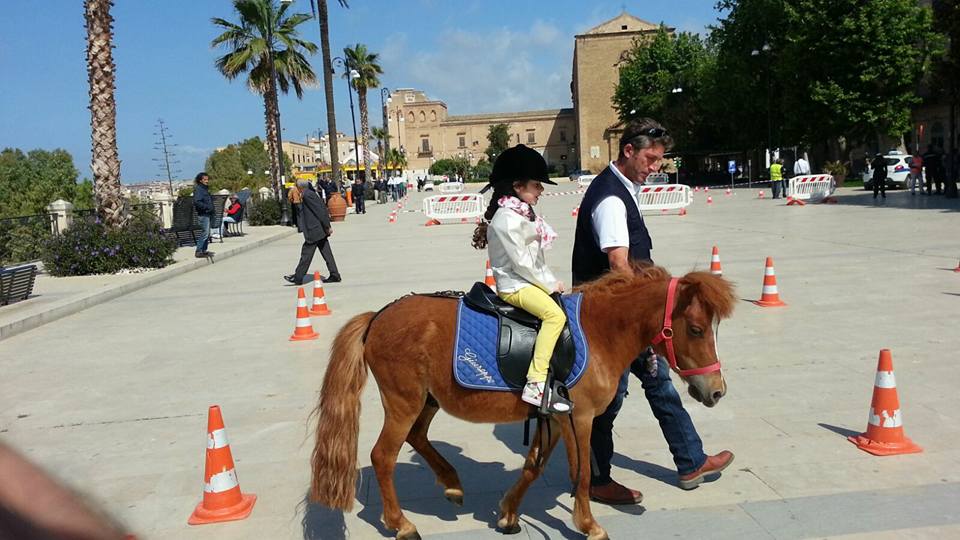 Archivio Notizie Corriere di Sciacca