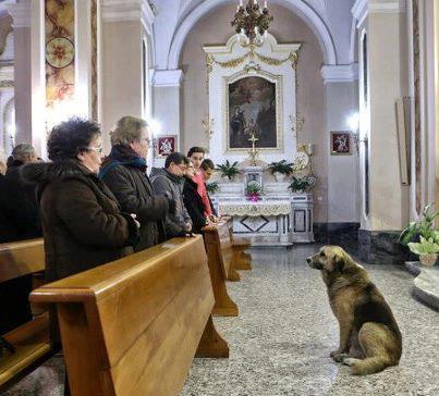 Archivio Notizie Corriere di Sciacca