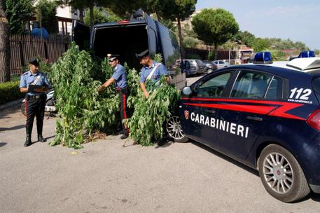 Archivio Notizie Corriere di Sciacca