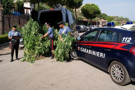 Archivio Notizie Corriere di Sciacca