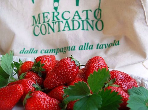 Archivio Notizie Corriere di Sciacca