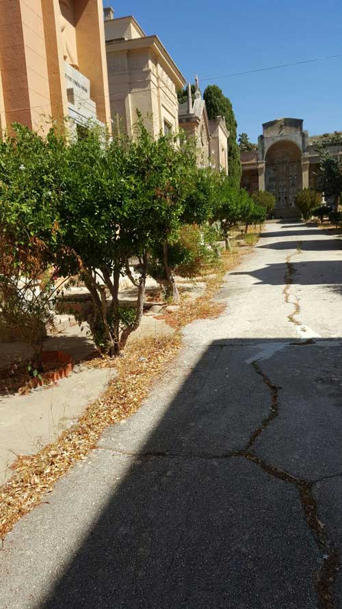 Archivio Notizie Corriere di Sciacca