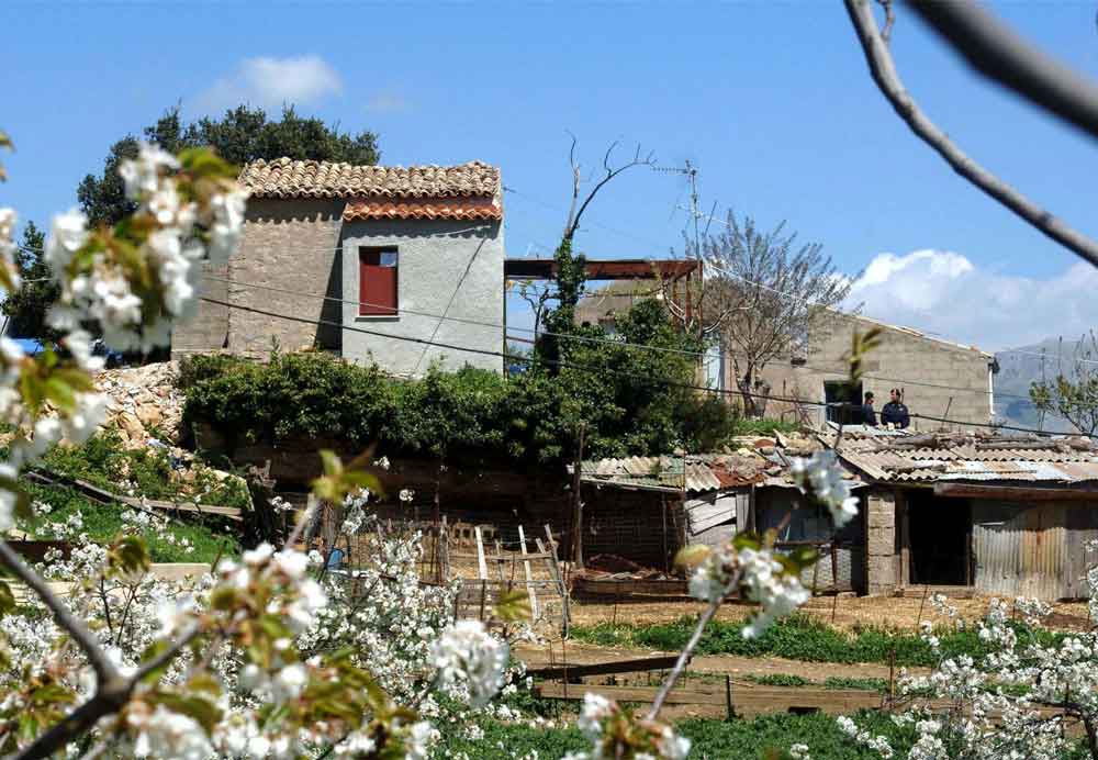 Archivio Notizie Corriere di Sciacca