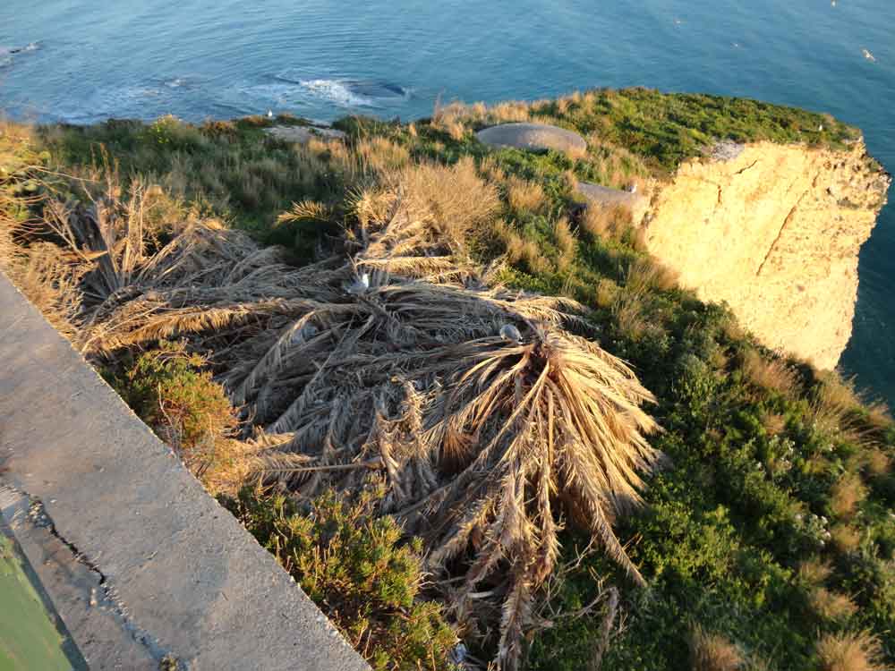 Archivio Notizie Corriere di Sciacca