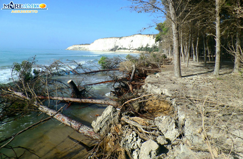 Archivio Notizie Corriere di Sciacca