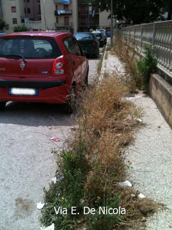 Archivio Notizie Corriere di Sciacca