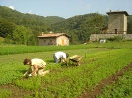 Archivio Notizie Corriere di Sciacca