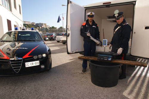 Archivio Notizie Corriere di Sciacca