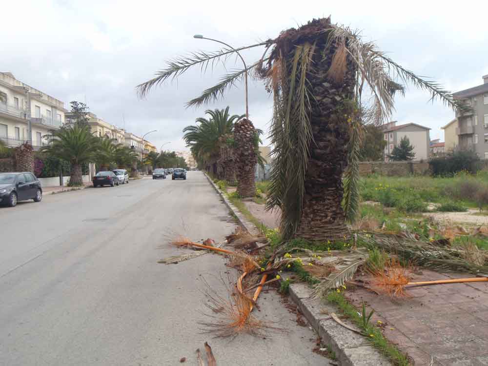 Archivio Notizie Corriere di Sciacca