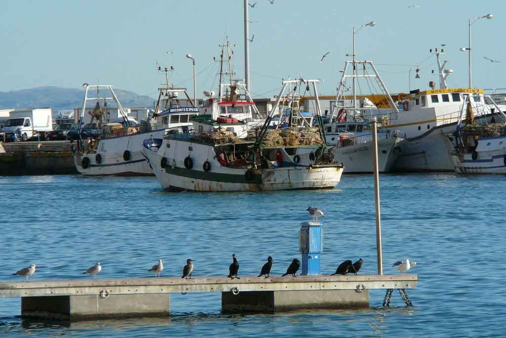 Archivio Notizie Corriere di Sciacca