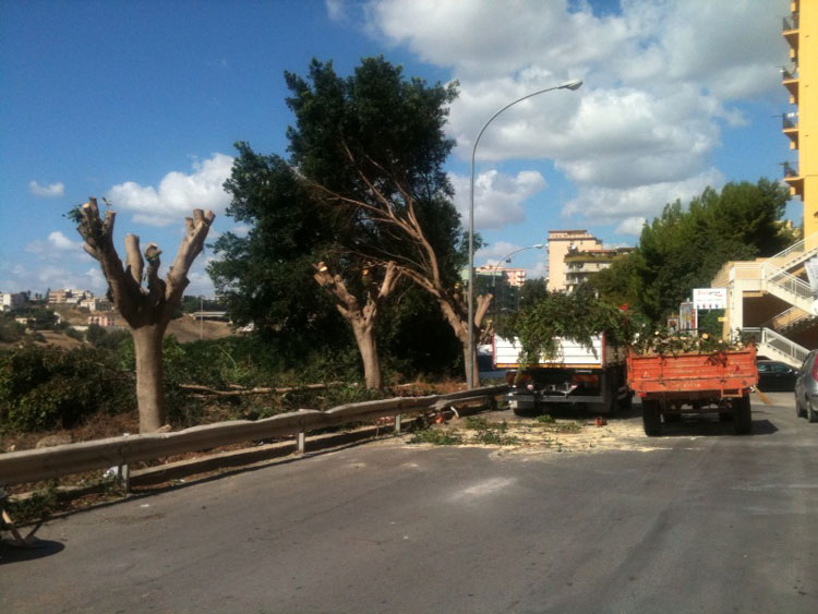 Archivio Notizie Corriere di Sciacca