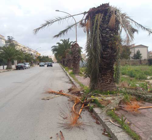 Archivio Notizie Corriere di Sciacca