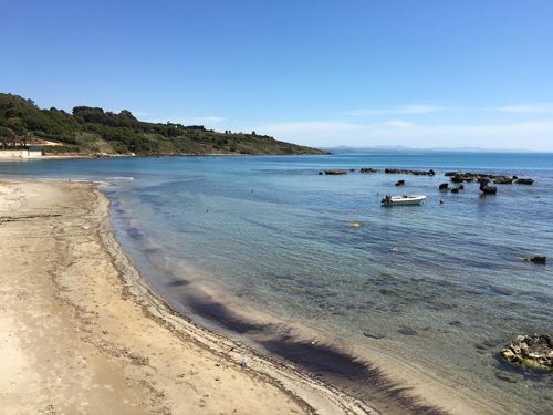 Archivio Notizie Corriere di Sciacca