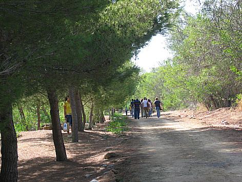 Archivio Notizie Corriere di Sciacca