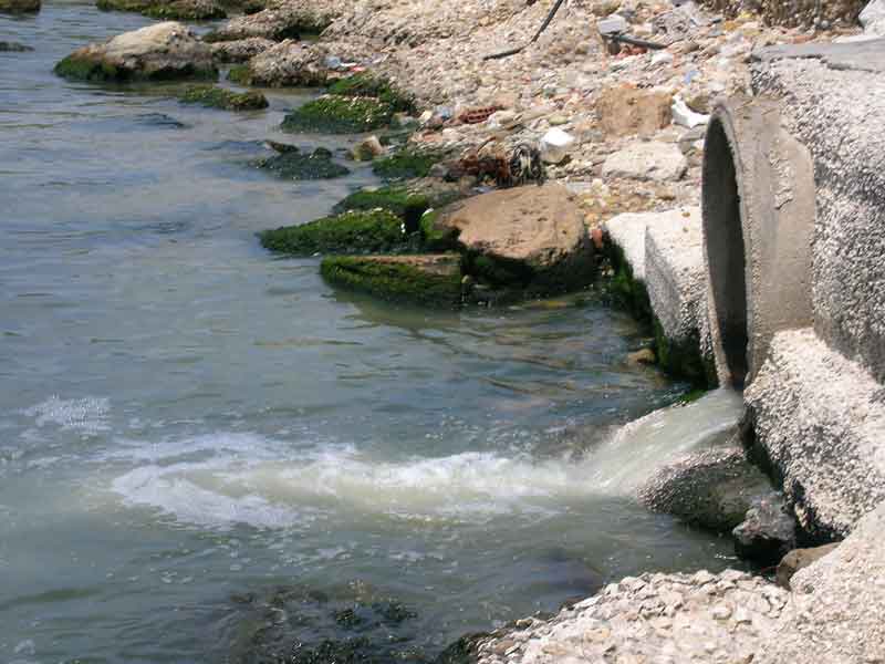 Archivio Notizie Corriere di Sciacca