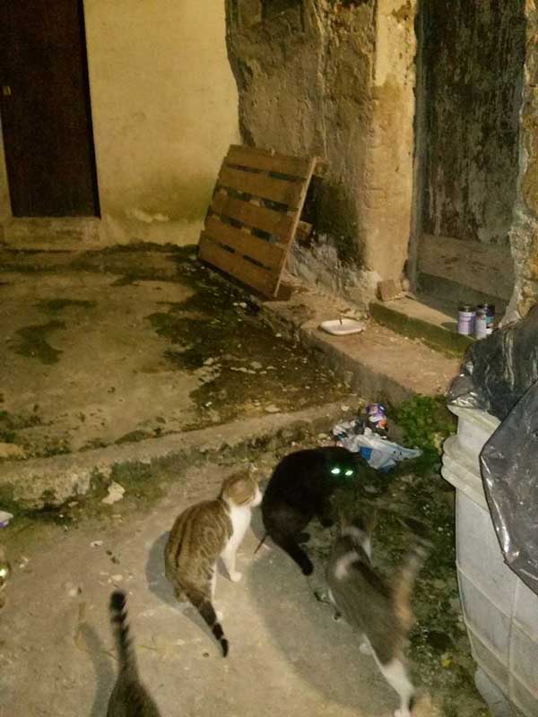 Archivio Notizie Corriere di Sciacca