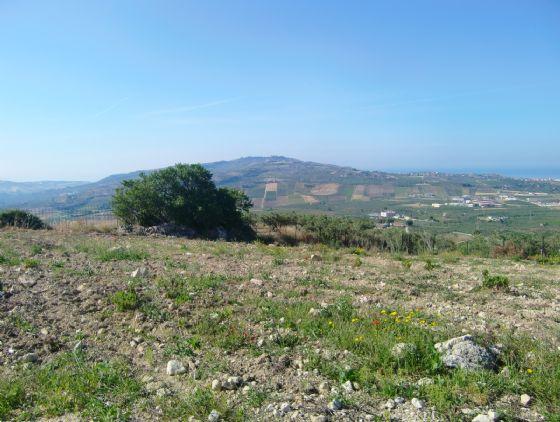 Archivio Notizie Corriere di Sciacca