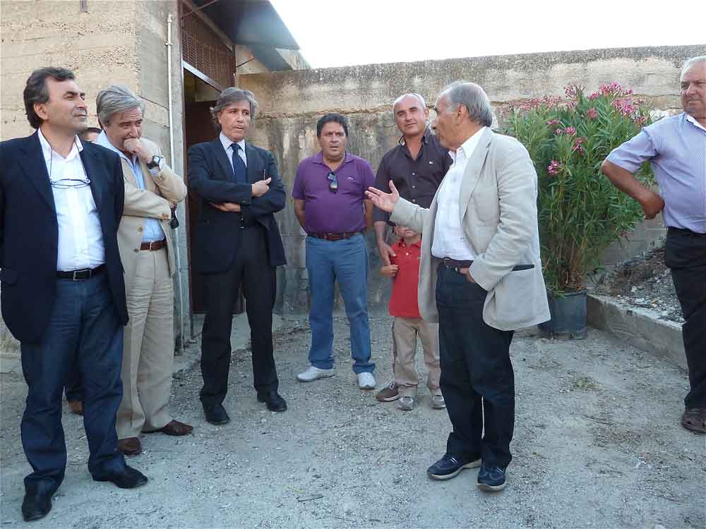 Archivio Notizie Corriere di Sciacca