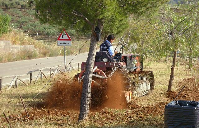 Archivio Notizie Corriere di Sciacca