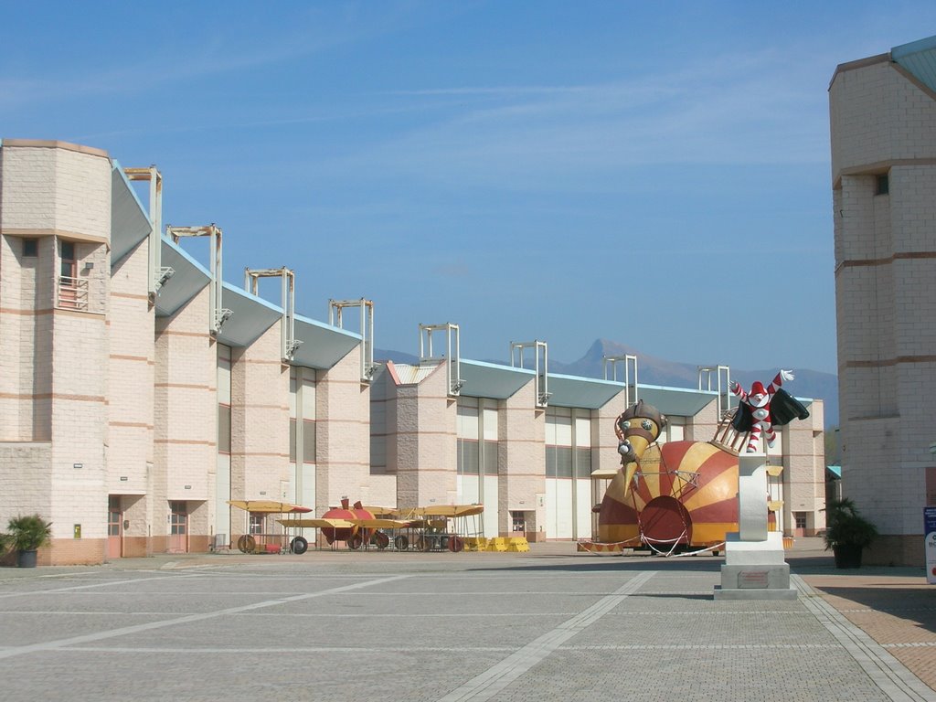 Archivio Notizie Corriere di Sciacca