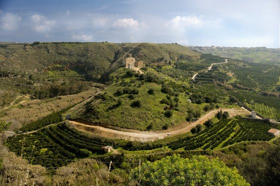 Archivio Notizie Corriere di Sciacca