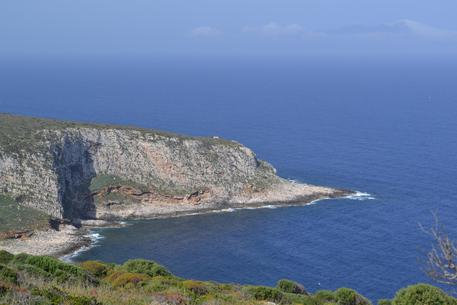 Archivio Notizie Corriere di Sciacca