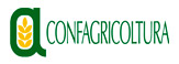 Archivio Notizie Corriere di Sciacca