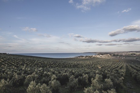 Archivio Notizie Corriere di Sciacca