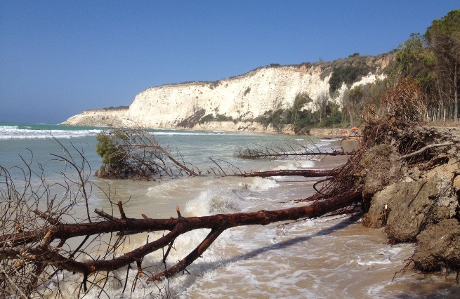 Archivio Notizie Corriere di Sciacca