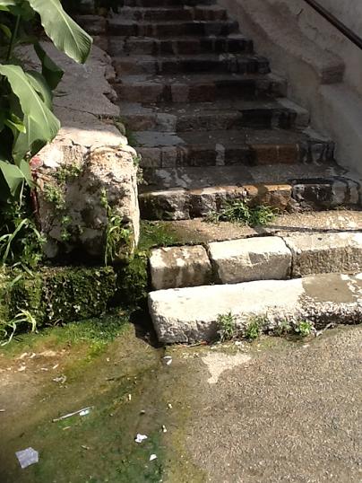 Archivio Notizie Corriere di Sciacca