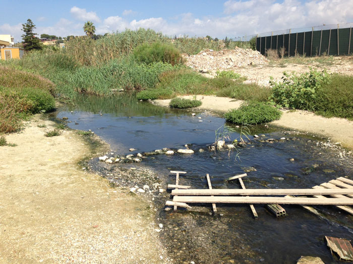 Archivio Notizie Corriere di Sciacca