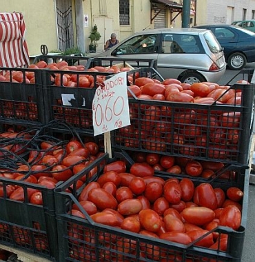 Archivio Notizie Corriere di Sciacca