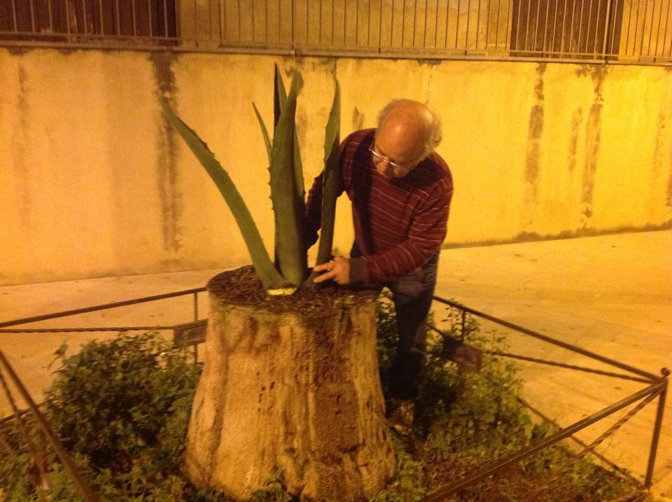 Archivio Notizie Corriere di Sciacca