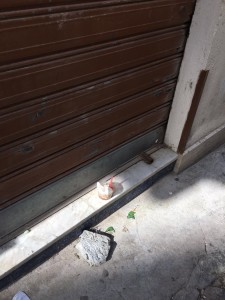 Archivio Notizie Corriere di Sciacca