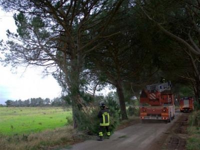 Archivio Notizie Corriere di Sciacca