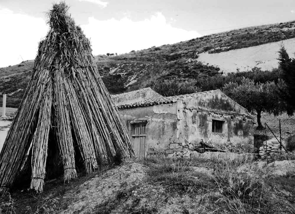 Archivio Notizie Corriere di Sciacca
