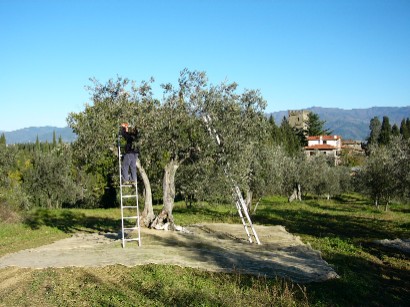 Archivio Notizie Corriere di Sciacca