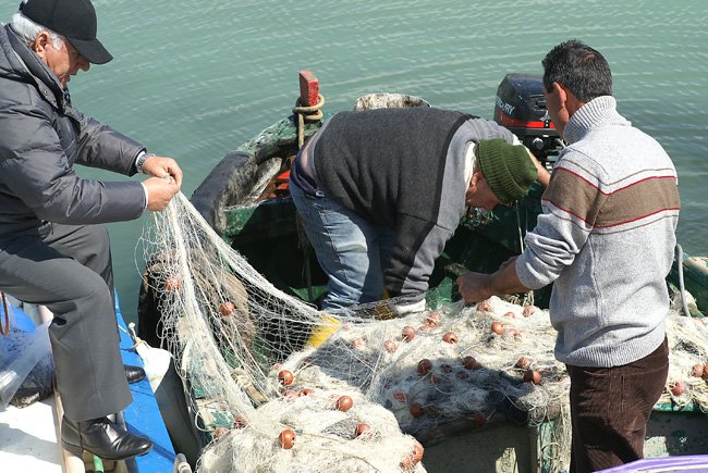 Archivio Notizie Corriere di Sciacca