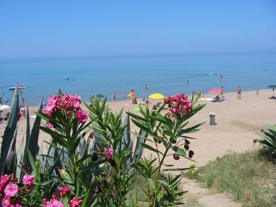 Archivio Notizie Corriere di Sciacca