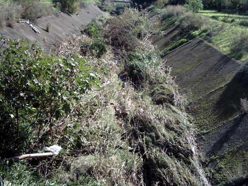 Archivio Notizie Corriere di Sciacca