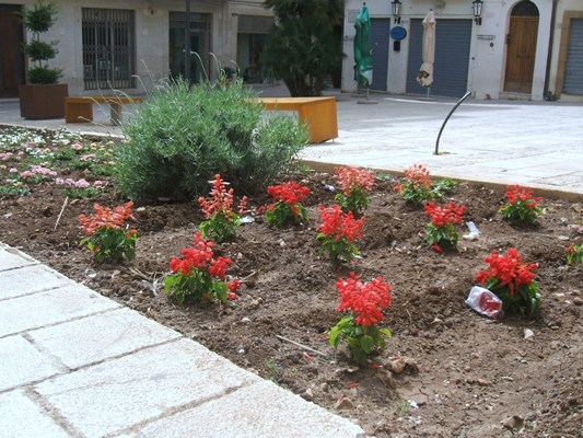 Archivio Notizie Corriere di Sciacca