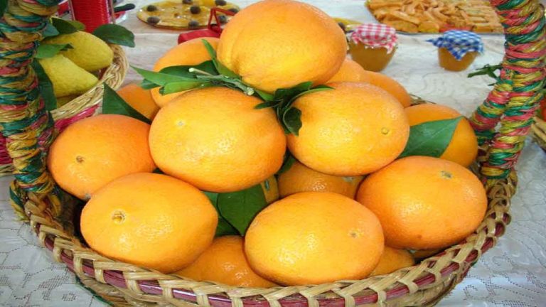 Arance-Ribera 1280x720