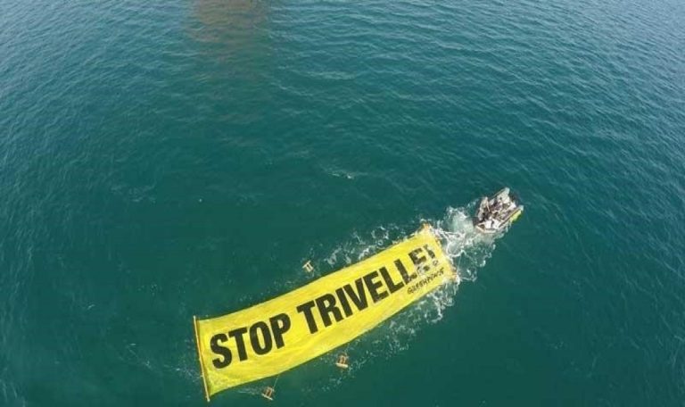 Il 2015 di Greenpeace, un anno di azioni in difesa del Pianeta