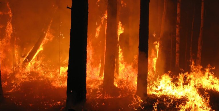 Incendi-boschivi