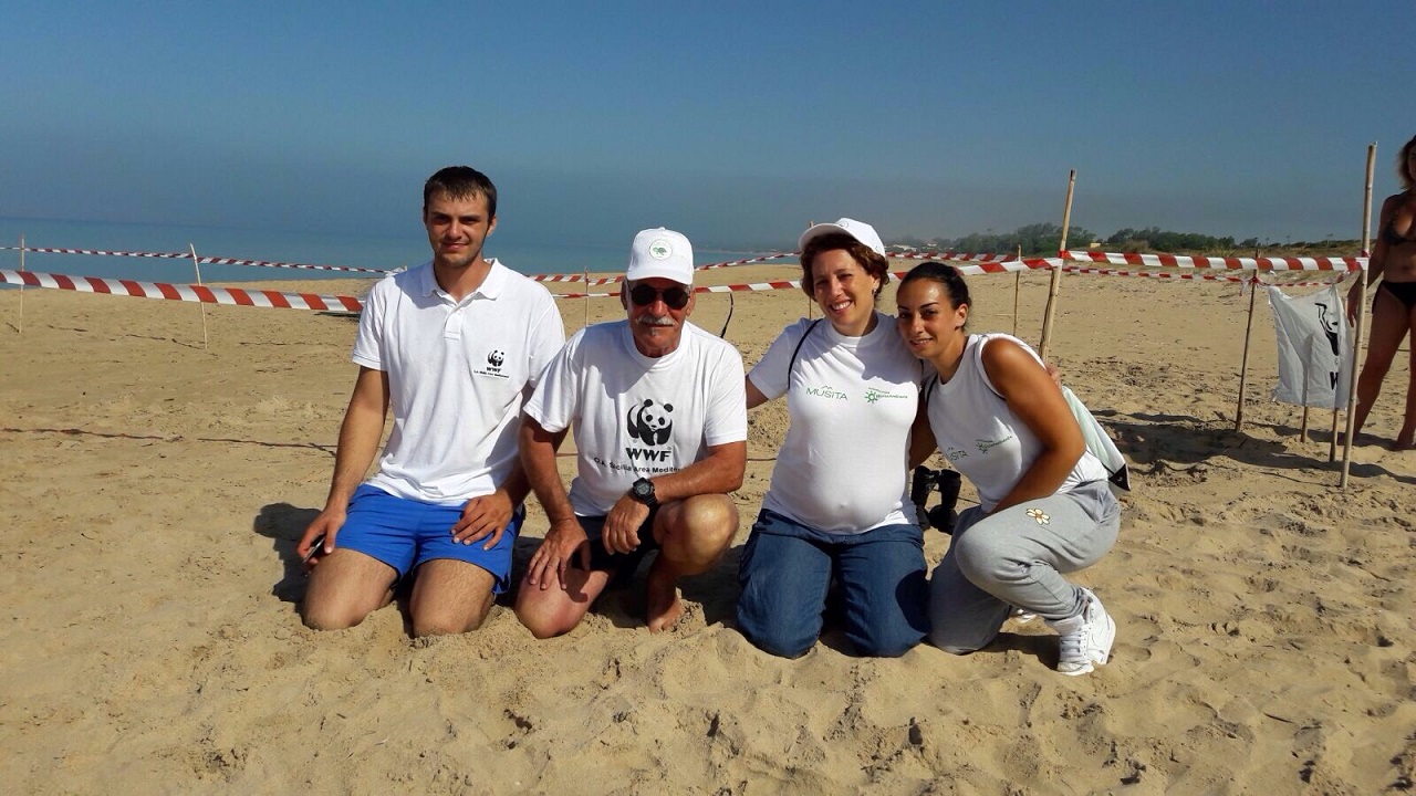 MENFI OVODEPOSIZIONE