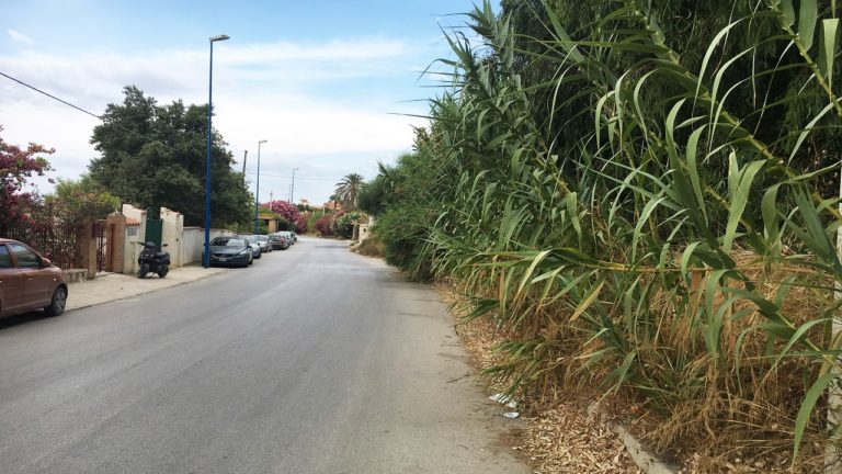 VIA LIDO ALBERI SU STRADA 1280X720