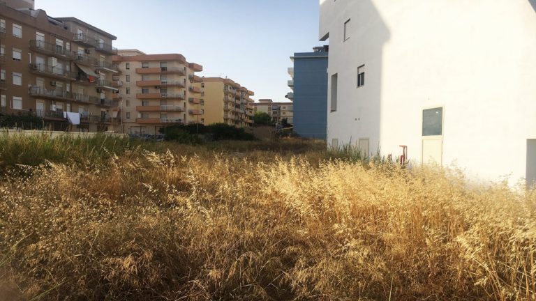 erbacce casa anziani Perriera