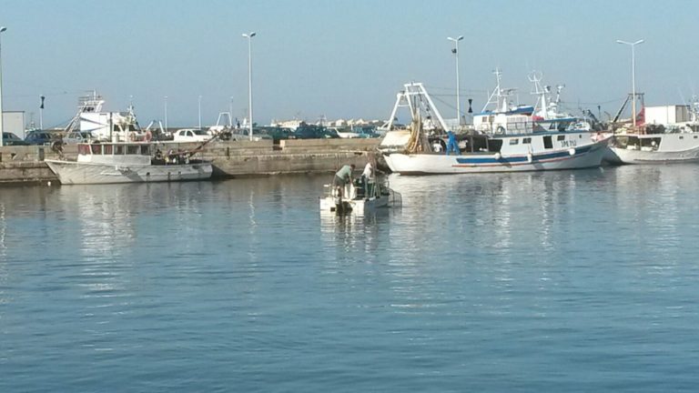 pulizia port