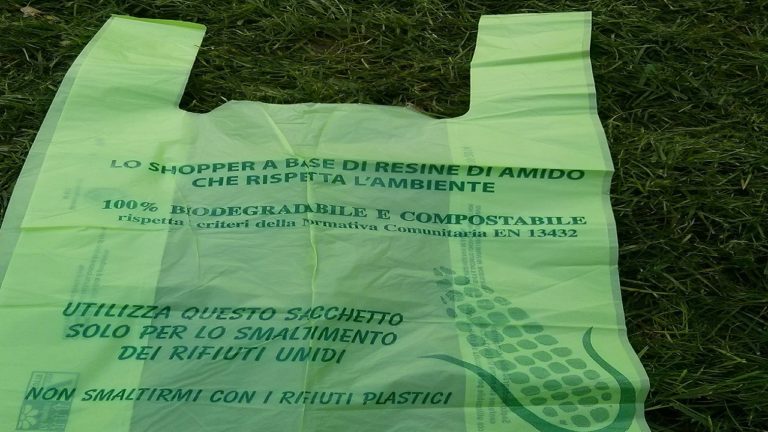sacchetti biodegradabile