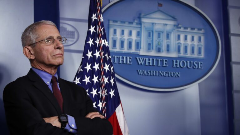 fauci white house